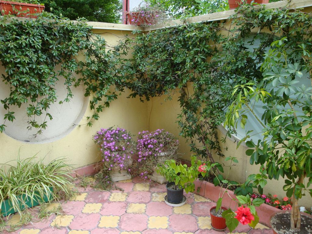 Stela Guest House Carevo Quarto foto