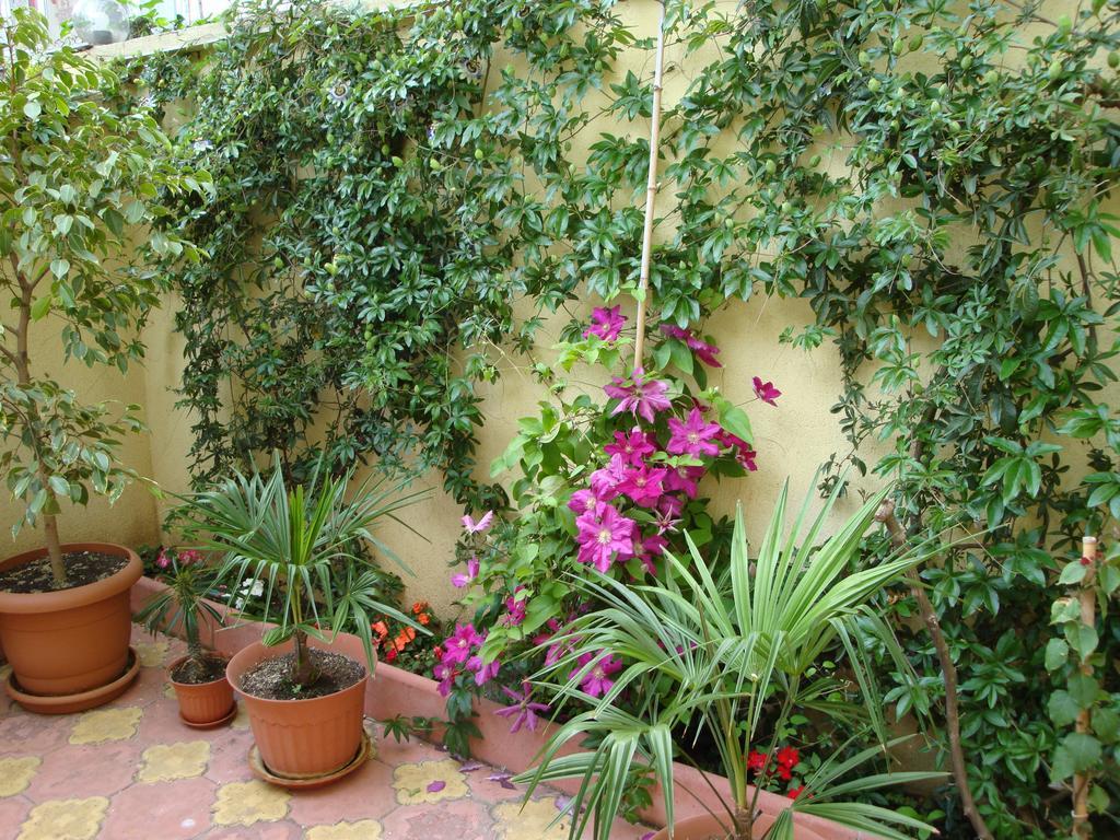 Stela Guest House Carevo Exterior foto